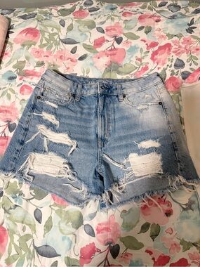 Light Blue American Eagle Mom Shorts